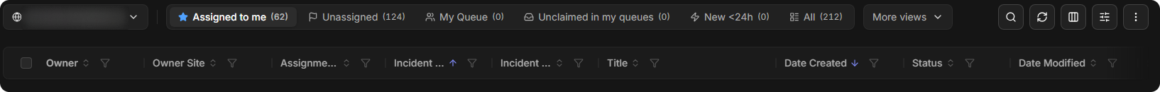 06-incidents-views.png