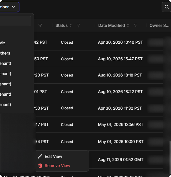 A custom view's menu with Edit View and Remove View