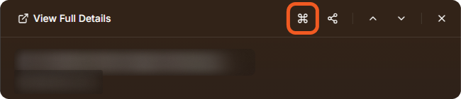 The top of the quick view panel with View Full Details and the Execute command icon