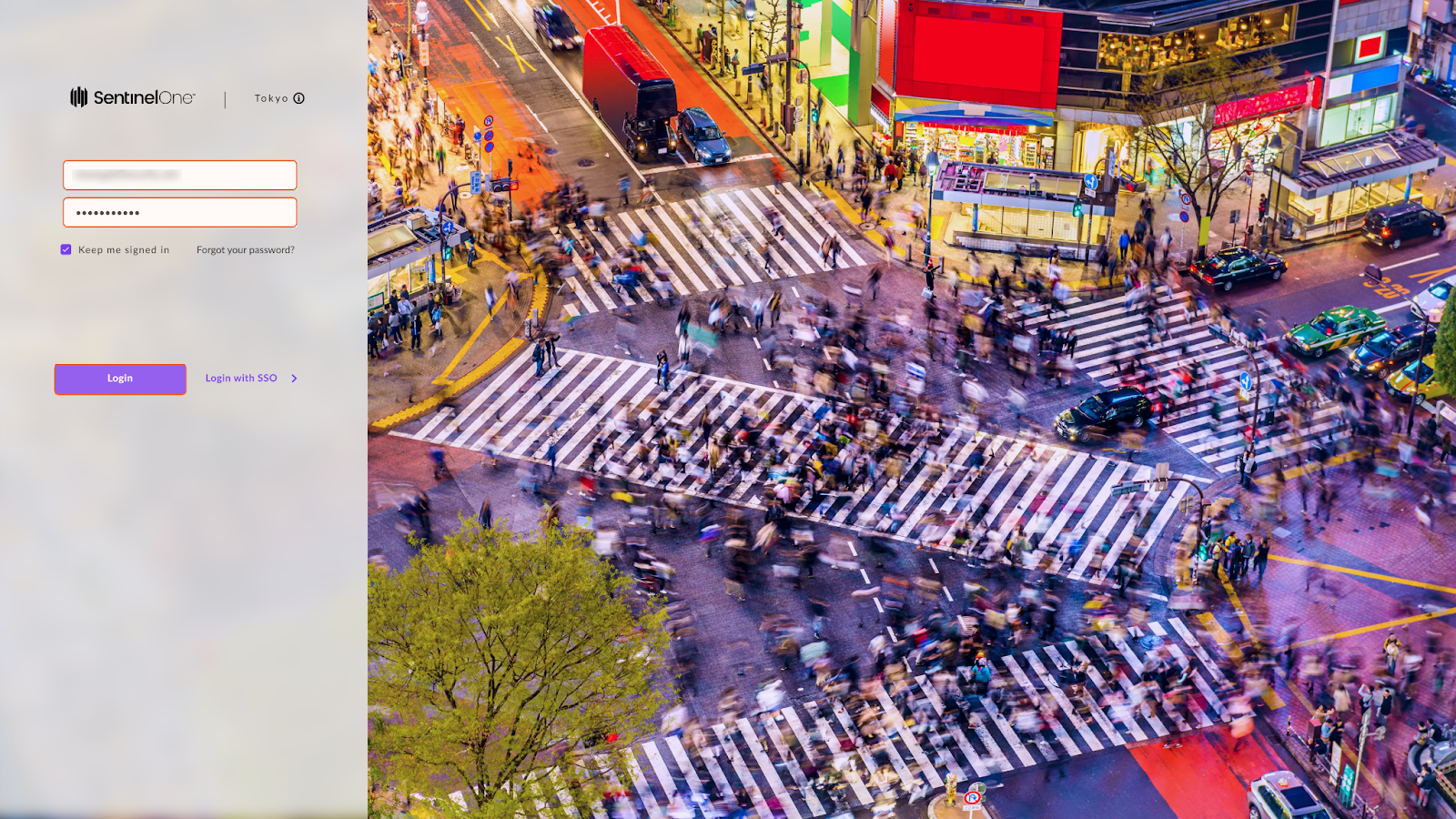 AD_4nXeFiIthtnCZeQxgyJ0ZxvzSEyss91bEEKrM0Mh4ShdQYycI-MV0I06HDnd4MXNLbai6-YVFi67Lm2biqjhRfi39CSNP39-RSVYqIhTrzLqGo9G_JLUlOW4QjXTI0JiqtOtUkJG6XGWNT3nCAIF1Bhpvmofv8UfoT7gNx_nvOw?key=Y5XYtTMNOJvJHfbLXIybjw