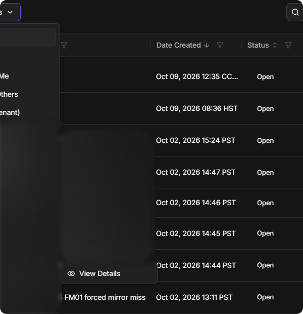 A custom view shared by someone else, whose menu shows only View Details
