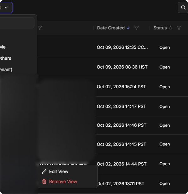 An owned custom view's menu with Edit View and Remove View