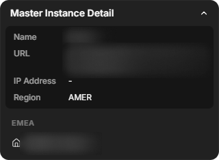 The Master Instance Detail panel with Name, URL, IP Address and Region, and a tenant listed under its region; names and URLs are blurred