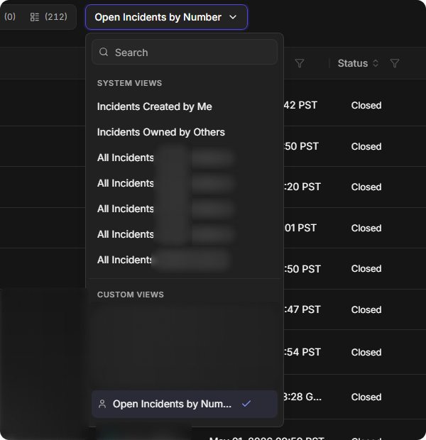 The view list open, with the new view under Custom Views and ticked as the current view